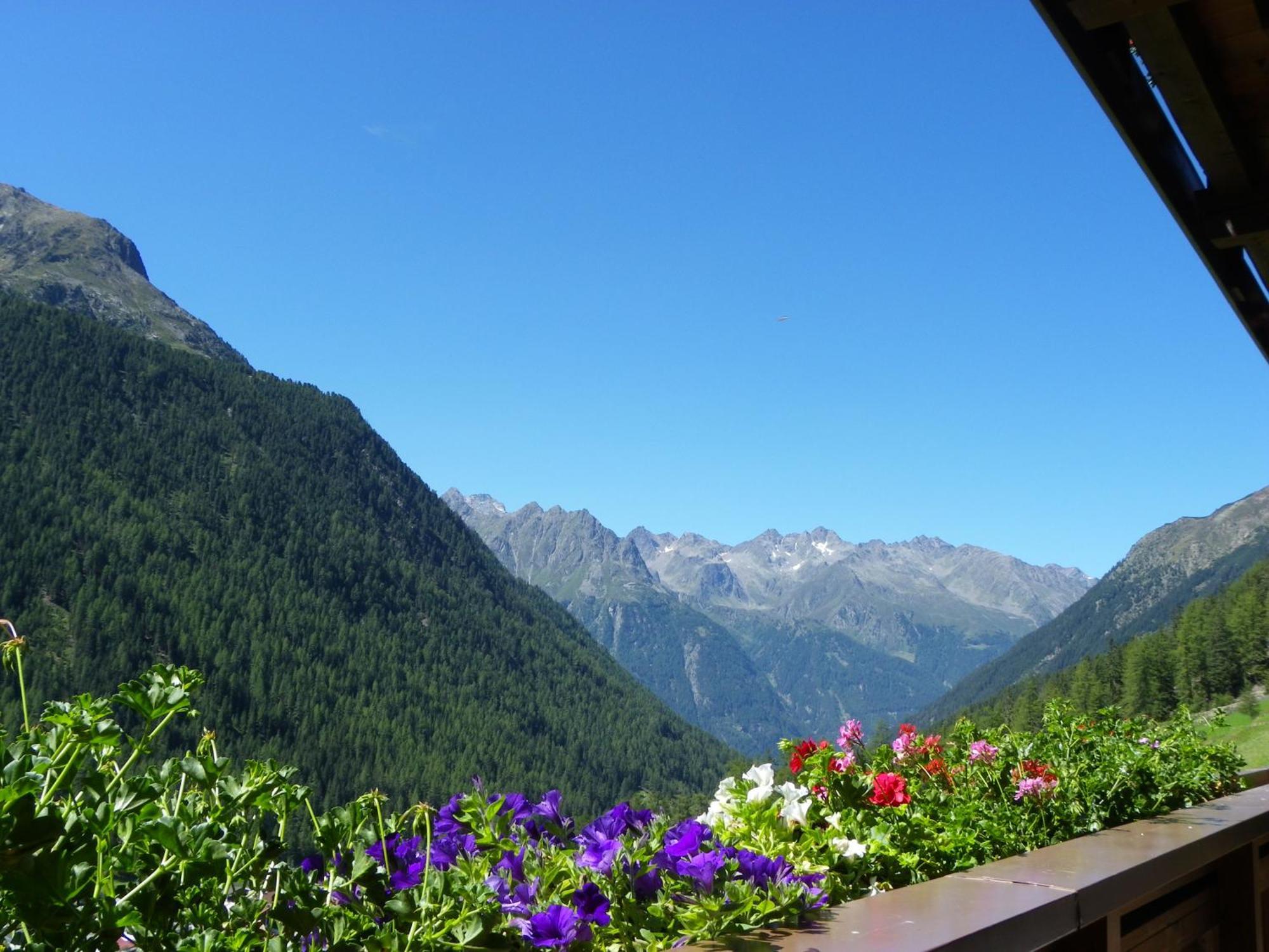 Gaestehaus Berghof Schoepf Langenfeld Bagian luar foto